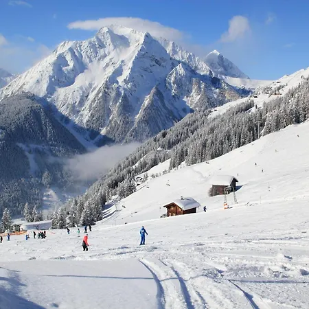 Alpine In Fieschertal