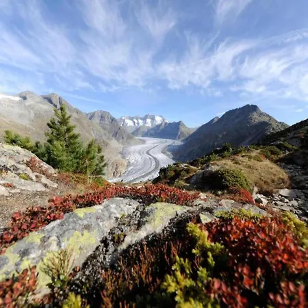 In Valais With Garden Chalet *