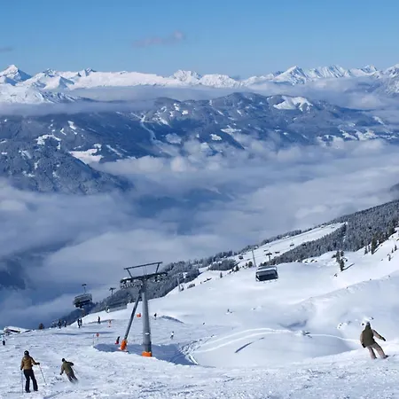 Alpine In *